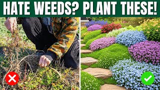 10 Low-Maintenance Groundcovers for Everyday Gardens screenshot 5