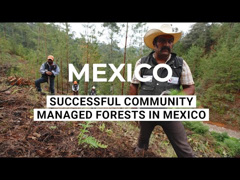 Ejidos - Successful Community Managed Forests in Mexico - Mexico