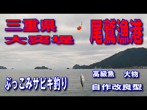 #109三重県尾鷲漁港大突堤ぶっこみサビキ釣り高級魚大物自作改良型短時間で釣れる投げサビキで底を切る気持ち良く投げてますいやなこと海の向こうに飛んで行け尾鷲漁港内も良く釣れます