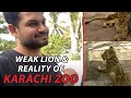 WEAK LION & REALITY OF KARACHI ZOO | Azlan Shah