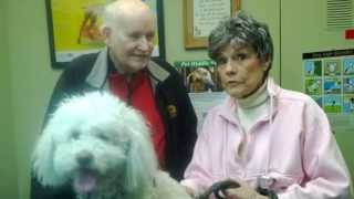Serra Veterinary Hospital Inc