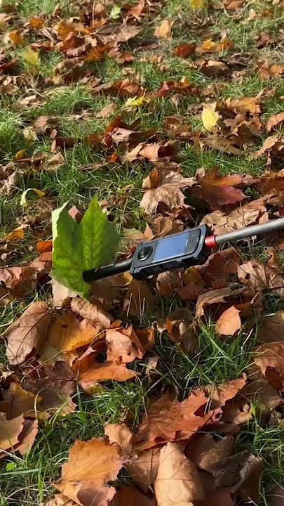 Floating Leaf 360 Camera Video Idea 💡. Shot with Insta360 X3 #insta360