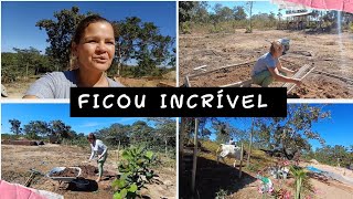 FINALIZAMOS E PLANTAMOS A HORTA | COLOCAMOS NOS BEZERROS 