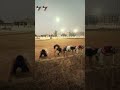 Abhi Mehnat Jari h #viral #motivation #trending #shortfeed #shortsvideo #sapate