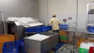 FROZEN PANGASIUS FILLET
