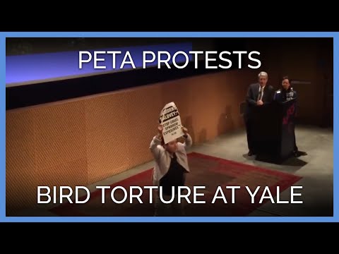 PETA Protests Yale Bird Torturer