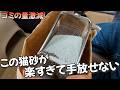 【絶対に衝撃うける超優秀な猫砂】粗相する猫も喜んで、吸水力抜群でゴミの量も圧倒的に減るから使ってみて