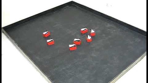 Flocking Control of a Robotic Swarm