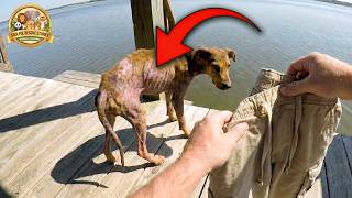 They Abandoned Him in the Ocean — Watch This Miracle Rescue