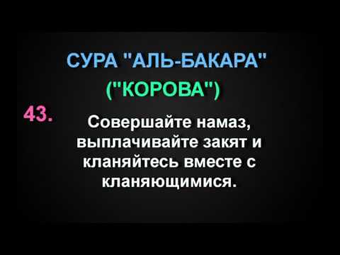 Сура бакара 102. Сура Аль-Бакара Сура корова. Ты Сура Аль Бакара. Сура 43 43 аят. 1-5 Суры Аль Бакара корова.