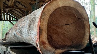 pengergajian kayu sengon tekik raksasa yg didatangkan langsung dari planet namex oleh raja picolo