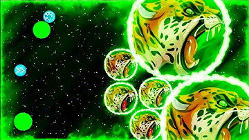 Blob.io Rev master Pt.3 💥 | FFA Merge