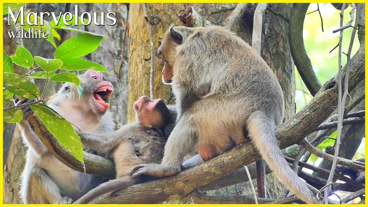 Wonderful Jane's family..., Papa Joey r/evokedd the milk Jonna from mother Jane