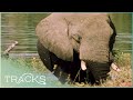 The Zambezi River: Mozambique's Force of Life | Full Documentary | TRACKS