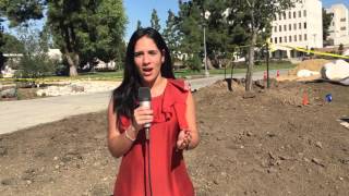 Shaira Arias: Assignment 2 standup