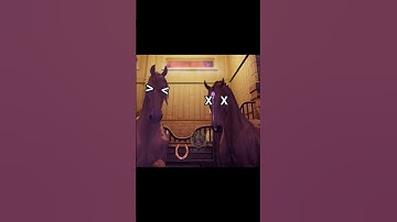 I was slightly bored 😂 #SSO #StatStable #Funny #StarStableOnline #Randomness