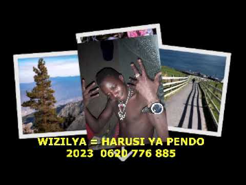 Wizilya Harusi Ya Pendo
