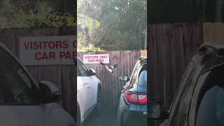 Australian bird fighting cars