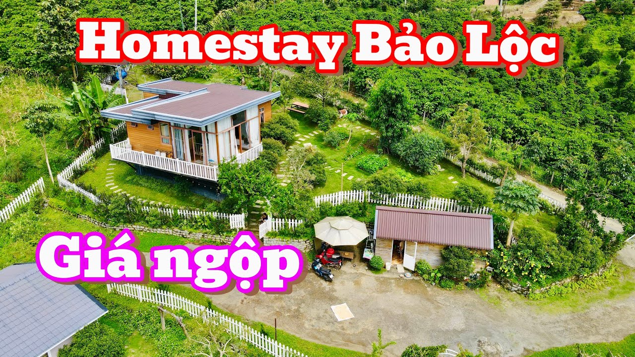 CHỦ LÀM ĂN THUA LỖ CẦN BÁN GẤP CĂN HOMESTAY VIEW CỰC ĐẸP TẠI BẢO LỘC
