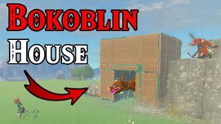 Giving a Bokoblin a House! | The Legend of Zelda: Tears of the Kingdom