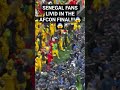 Senegal Fans Absolutely LIVID In Due To The Robbery In The AFCON Final Senegal Morocco Afcon2025