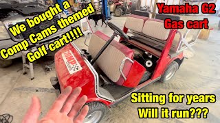 Yamaha G2 gas golf cart.....can we make it run