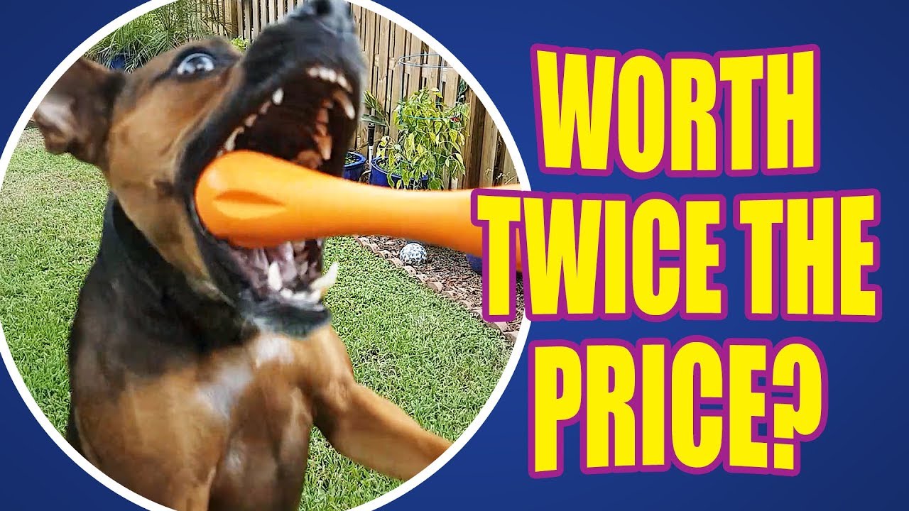 zogoflex hurley dog bone