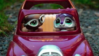 Moje Dramatická Autoškola Danette