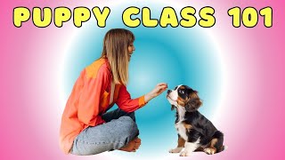 Puppy Classes: Don't Get Bitten! Choosing the Right One for Your Pup