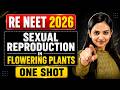 🔥AIIMS 2026 - DAY -01 I Bsc Nursing &amp; Paramedical I Sexual Reproduction in Flowering Plants
