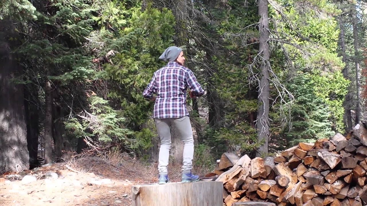 Gray Squirrel - YouTube