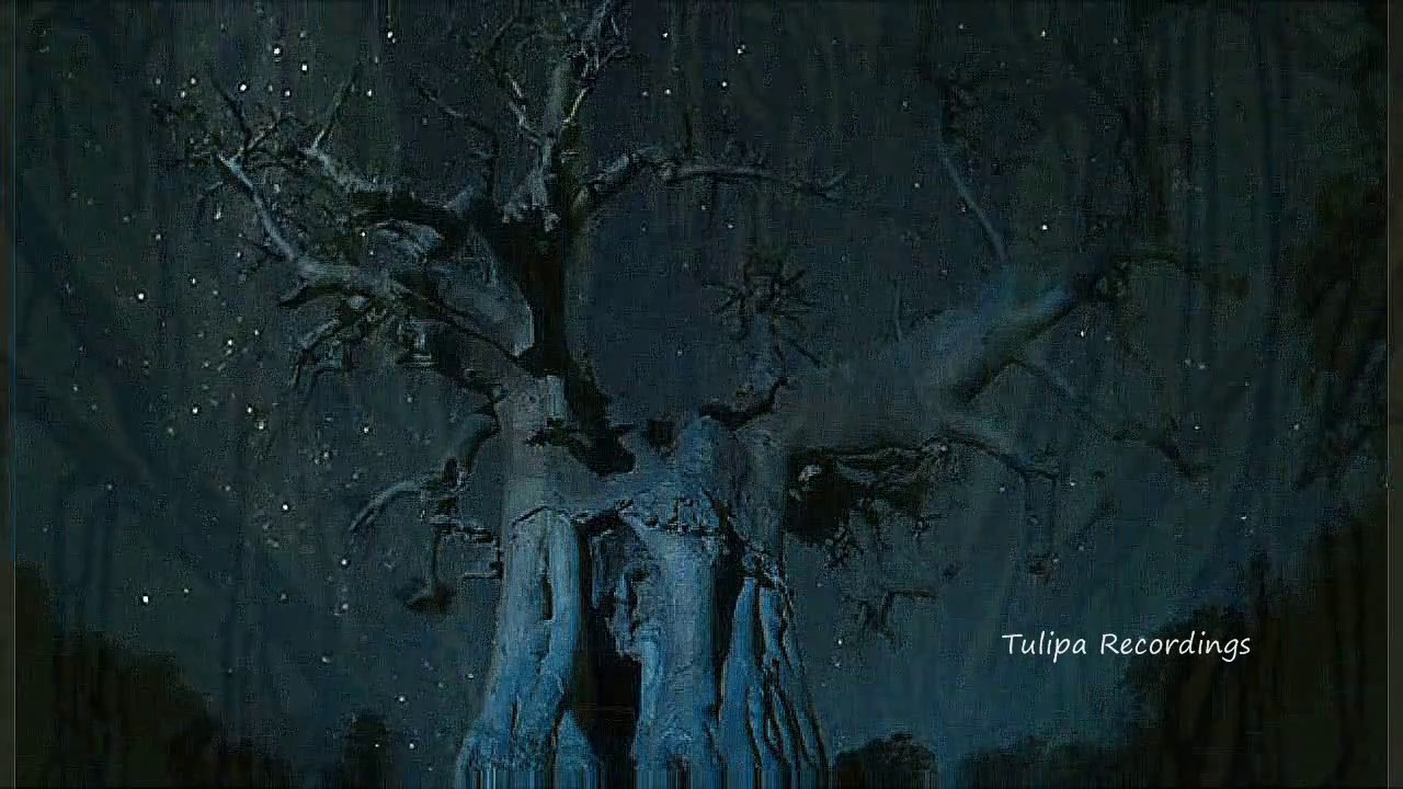 Watch Garance - Speedwalking (Original Mix) TULIPA179 on YouTube Watch Garance - Speedwalking (Original Mix) TULIPA179 on YouTube