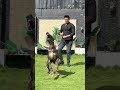 ناس كتير بتسالني علي سلطانة مبصورش بيها ليه اديني جبتهلكم اهي  باسم هانط