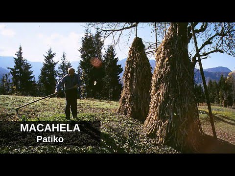 Macahela - Patiko / მაჭახელა - ფატიკო