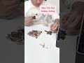 Automatic machine #doglover #viralvideo