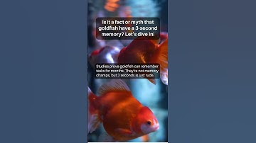 Is it a fact or myth that goldfish have a 3-second memory?