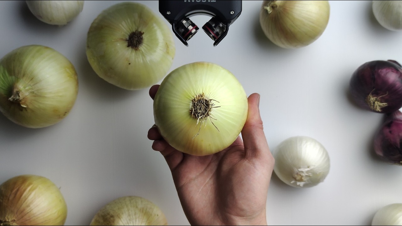 【ASMR】You’ve Never Heard an Onion Like This | Taps, Scrapes & Rubs ASMR