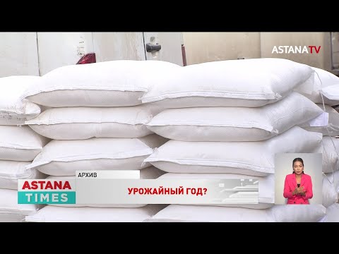 Мука в Казахстане подорожала на 40 за год: как на цены повлияет урожай зерна?