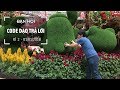 Làm công ty Outsource hay Product? Học gì để thành Web Developer?