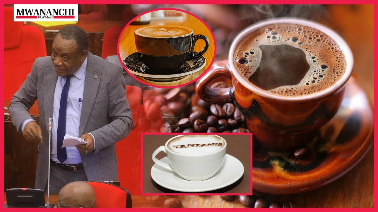 Ndakidemi: Kilo moja ya kahawa Tanzania elfu tatu, ughaibuni milioni moja