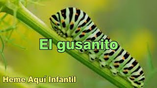 Vignette de la vidéo "El gusanito - Heme Aquí Infantil"