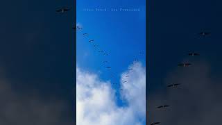 a fine time for healing