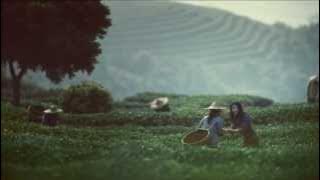 Understanding Your Needs | The Lengths We Go To | Singapore Airlines