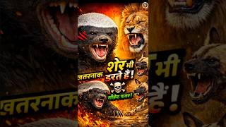 खतरनाक शेयर भी करता डरते हैं!😱 #animalshorts #animals #shorts #nature #2027