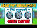 I Beat Pet Sim X Using ONLY CATS!