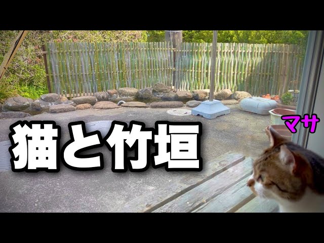 How to make a bamboo fence, called Otsugaki.｜Cat site supervisor