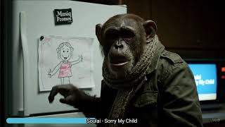 Soulai  Sorry My Child 