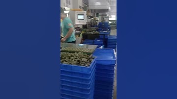 International investment precision casting services from China