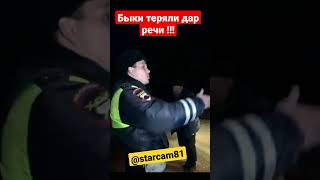 Борзые Быки потеряли дар речи/ #shorts