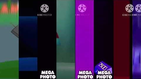 206 Shuric Scans With Are Slides V2